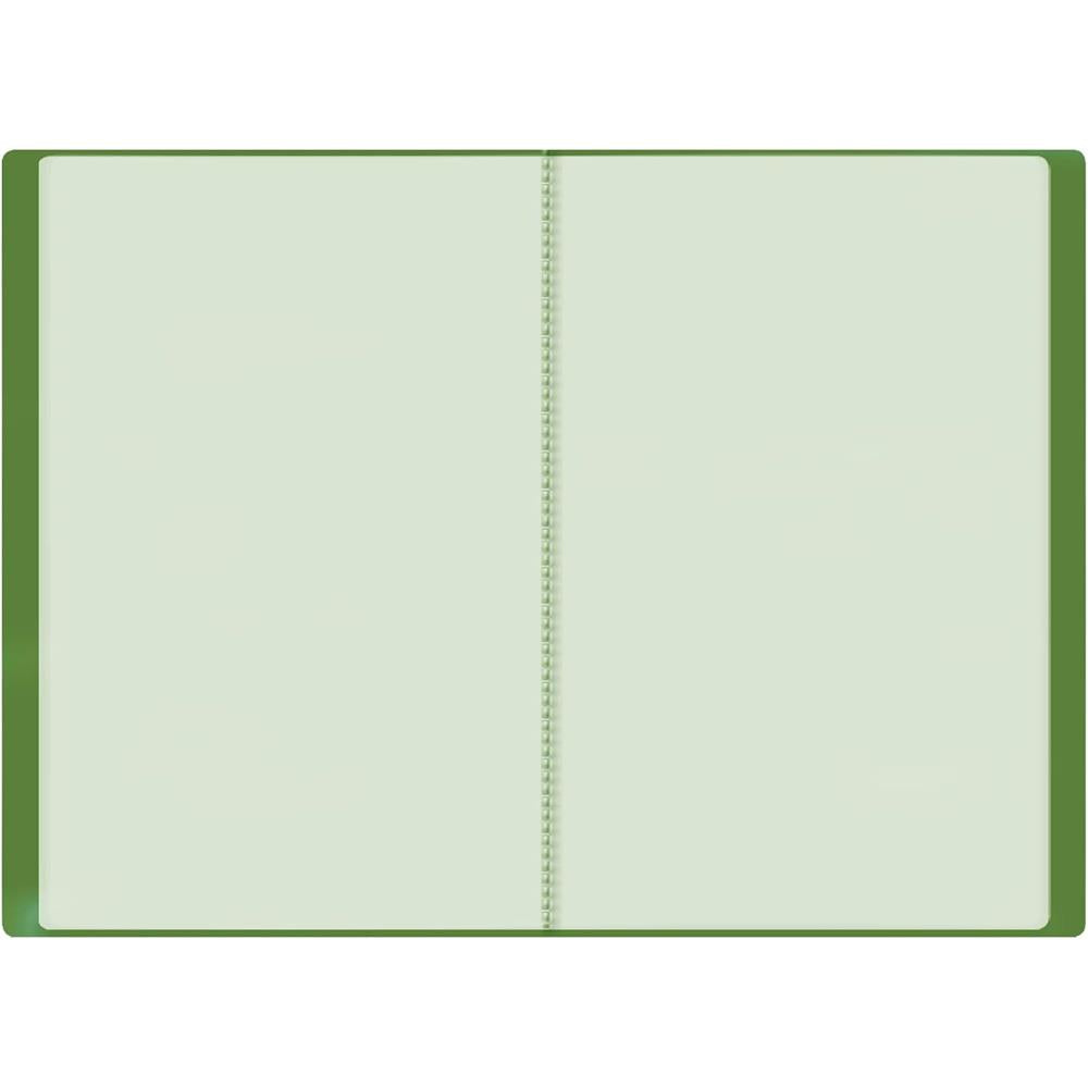 Roth Zeugnismappe Basic Grün, mit 20 A4 Klarsichthüllen