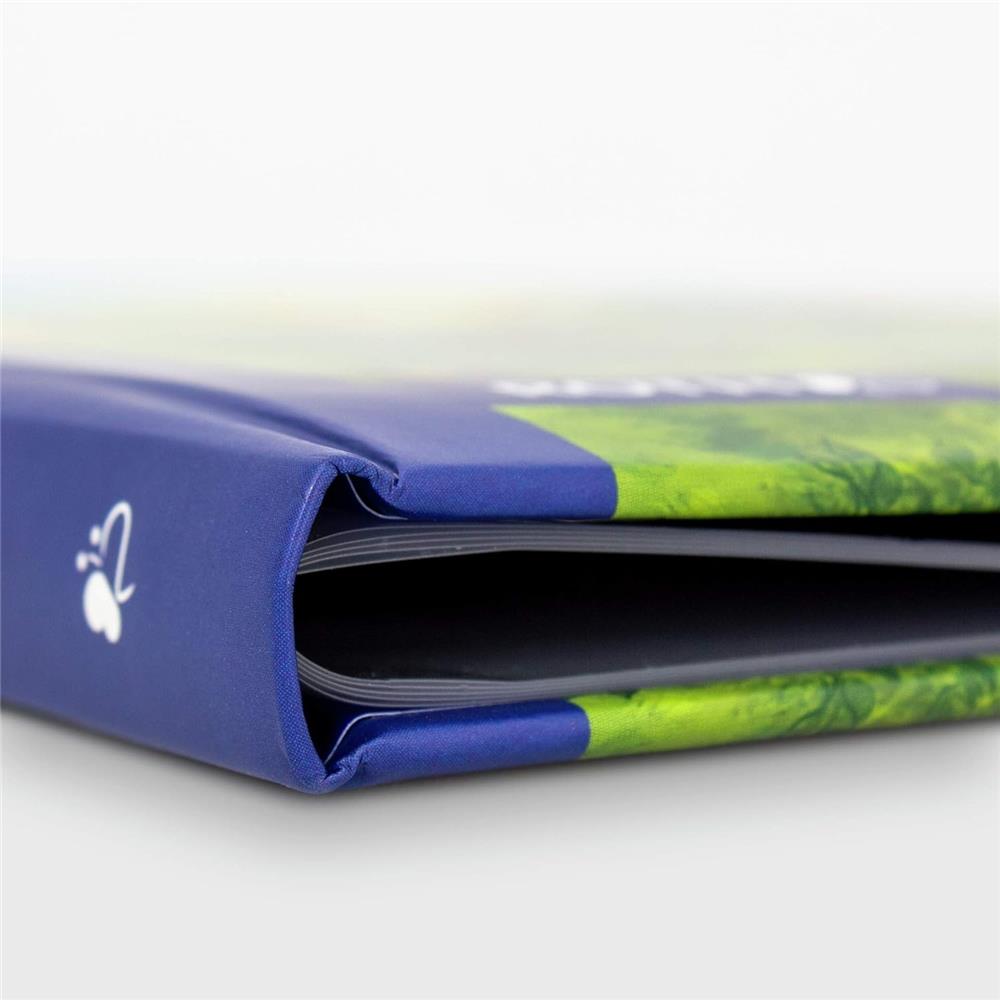 Roth Zeugnismappe Dinosaurier T-Rex, mit 10 A4 Klarsichthüllen