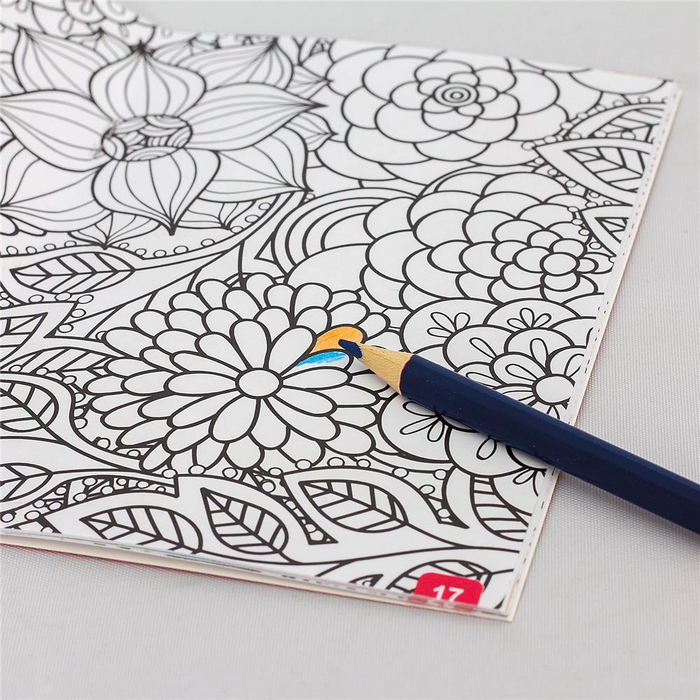 Roth Ausmalbuch und Buntstifte Dinosaurier Tyrannosaurus, Mal-/Rätselbuch mit 12 zweifarbigen Buntstiften