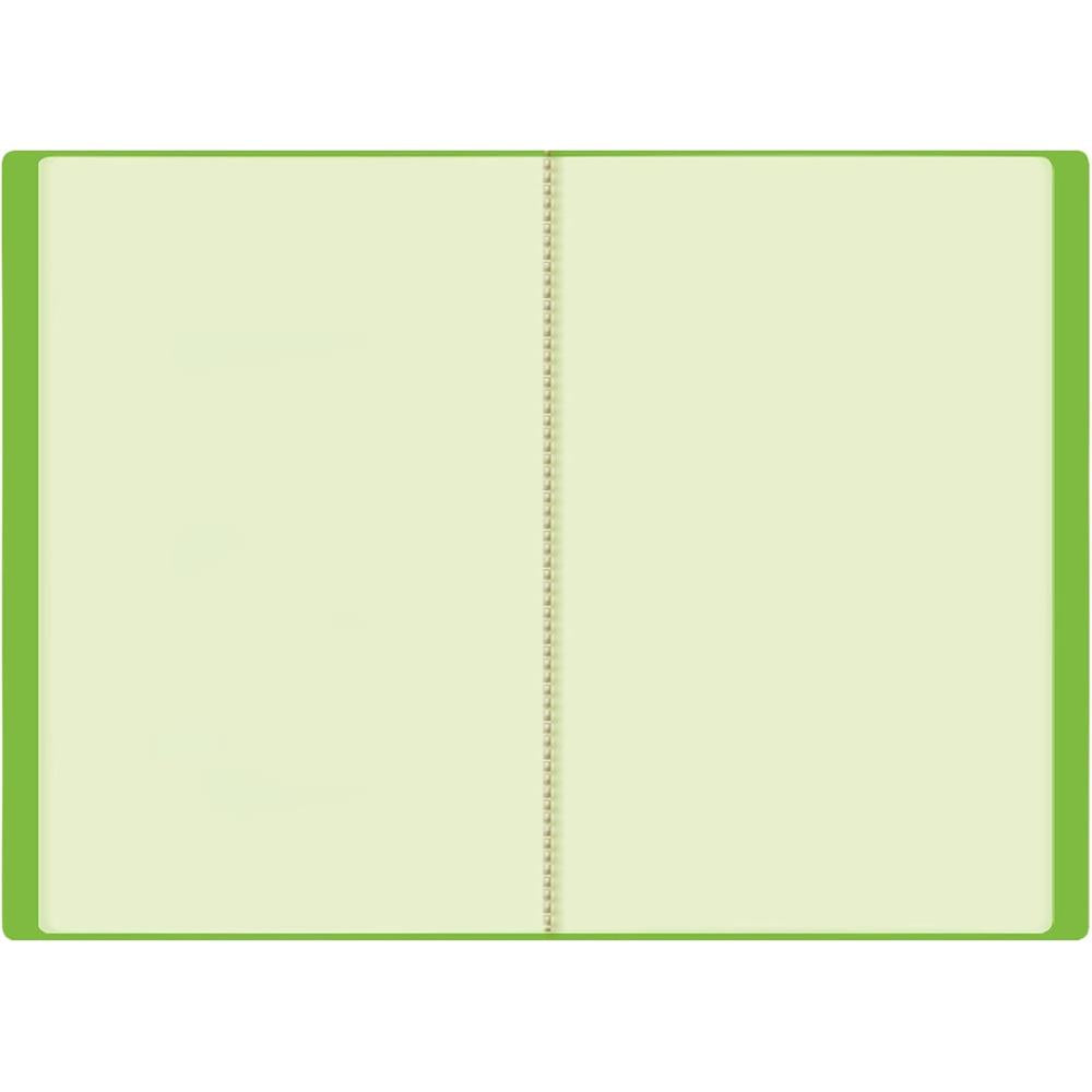 Roth Zeugnismappe Dinosaurier Tyrannosaurus mit Folie, mit 10 A4 Klarsichthüllen