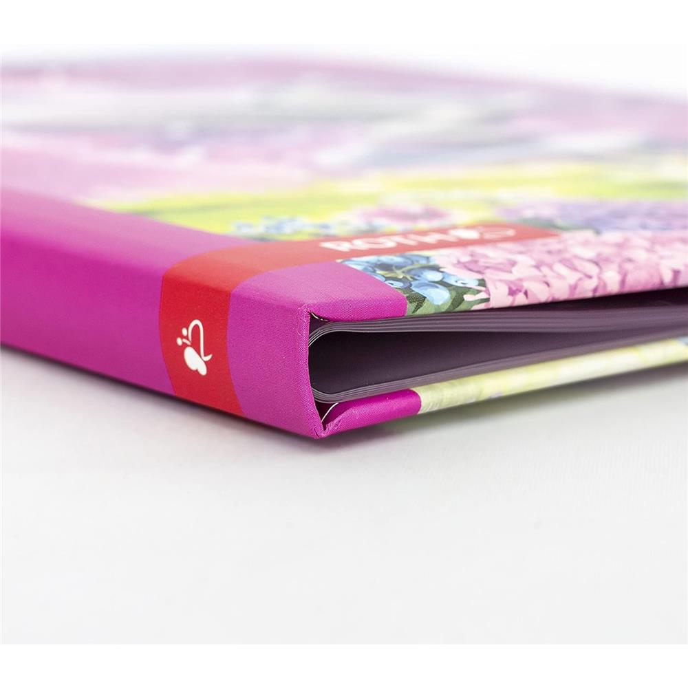 Roth Zeugnismappe Pegasus, mit 10 A4 Klarsichthüllen