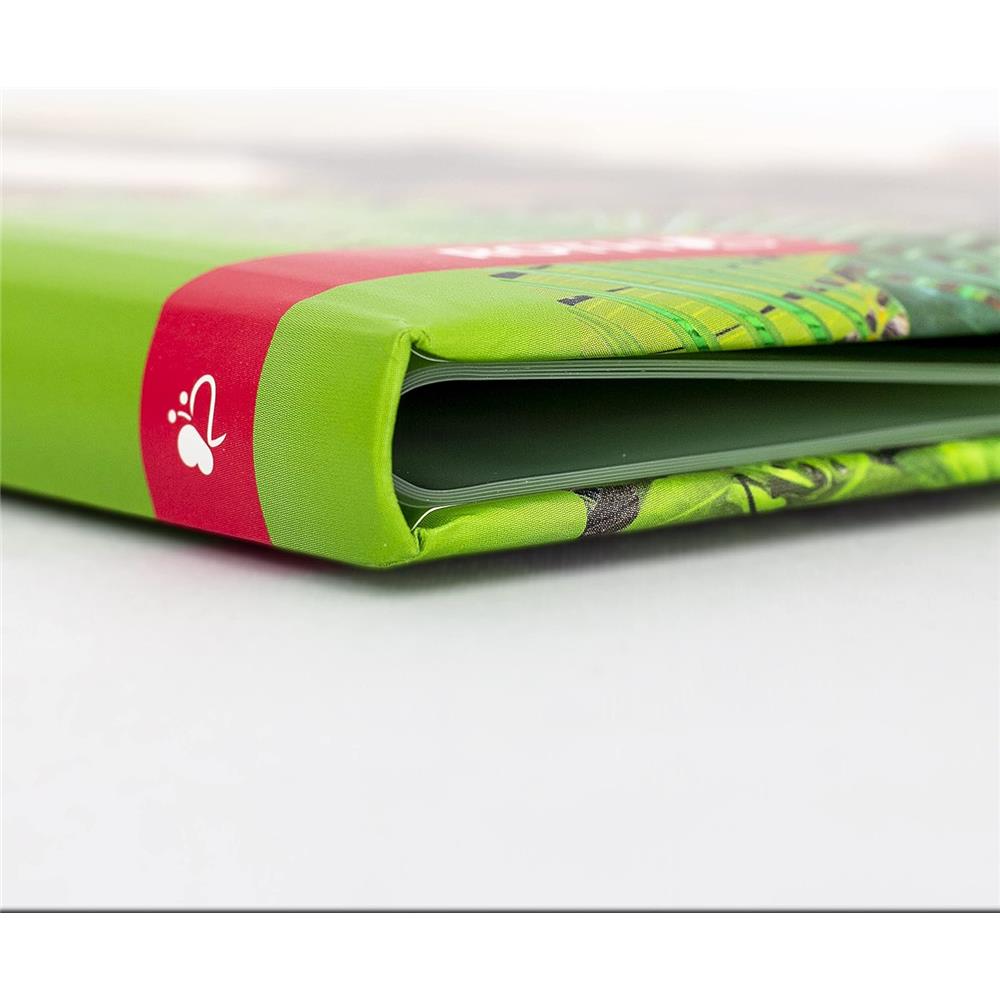 Roth Zeugnismappe Dinosaurier Tyrannosaurus mit Folie, mit 10 A4 Klarsichthüllen