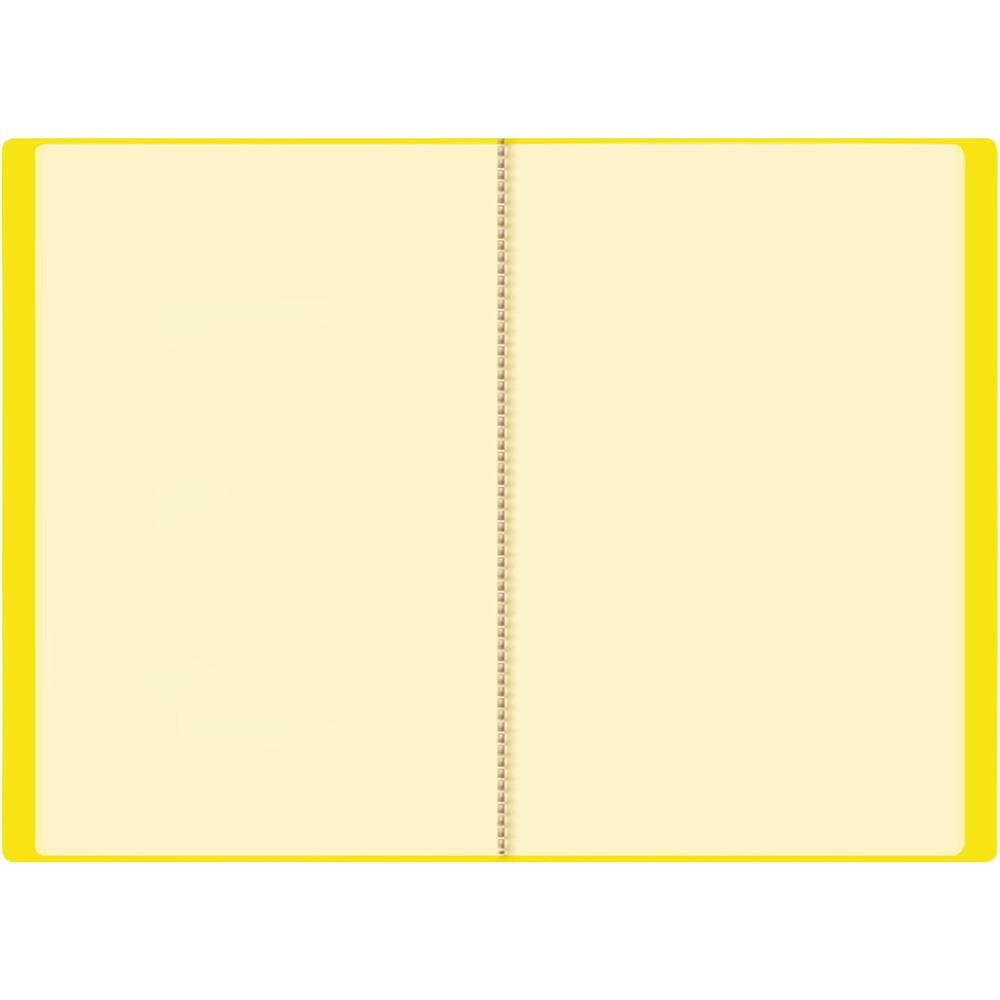 Roth Zeugnismappe Dinosaurier Robo-Rex, mit 10 A4 Klarsichthüllen